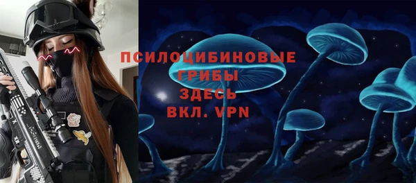 не бодяженный Аркадак