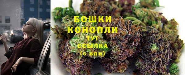 не бодяженный Аркадак